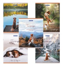 Тетрадь А5 48 л. BRAUBERG скоба, клетка, обложка картон, 