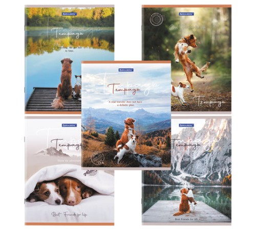 Тетрадь А5 48 л. BRAUBERG скоба, клетка, обложка картон, 