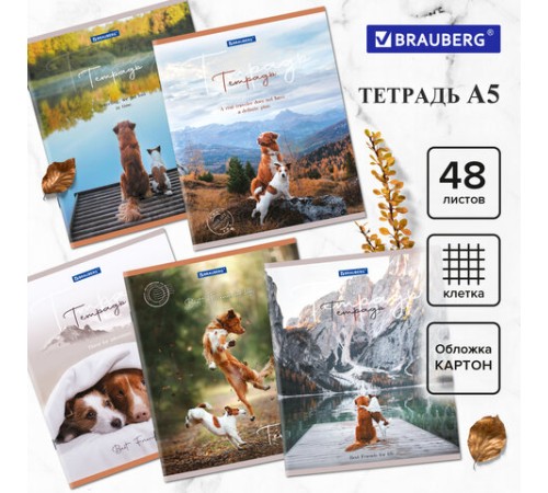 Тетрадь А5 48 л. BRAUBERG скоба, клетка, обложка картон, 