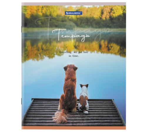 Тетрадь А5 48 л. BRAUBERG скоба, клетка, обложка картон, 