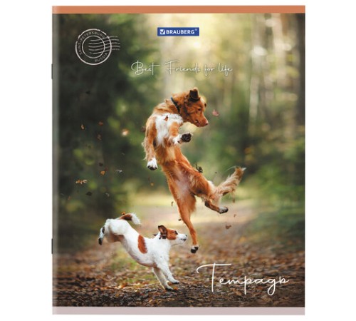 Тетрадь А5 48 л. BRAUBERG скоба, клетка, обложка картон, 