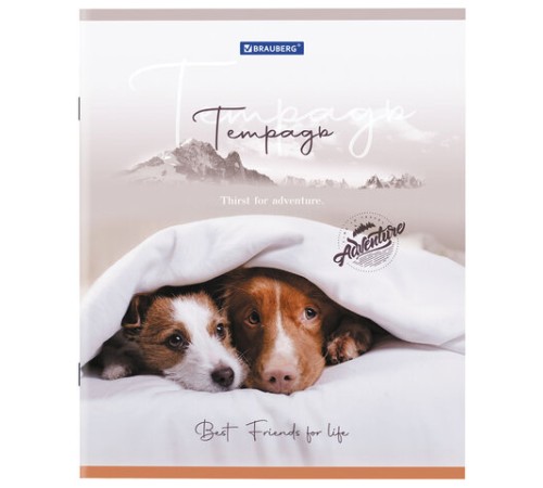 Тетрадь А5 48 л. BRAUBERG скоба, клетка, обложка картон, 