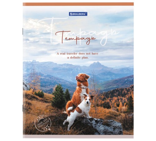 Тетрадь А5 48 л. BRAUBERG скоба, клетка, обложка картон, 