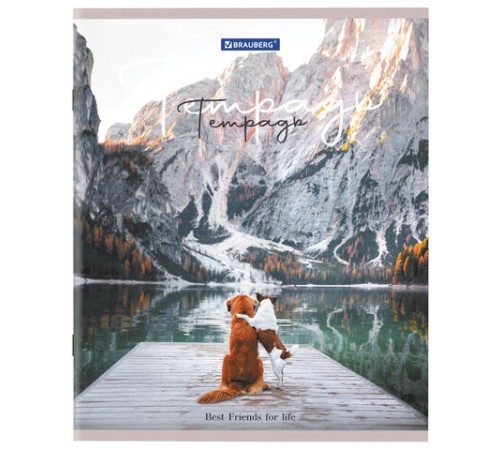 Тетрадь А5 48 л. BRAUBERG скоба, клетка, обложка картон, 