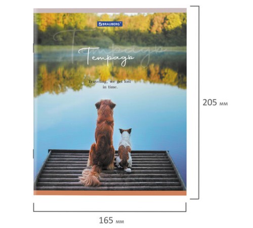 Тетрадь А5 48 л. BRAUBERG скоба, клетка, обложка картон, 