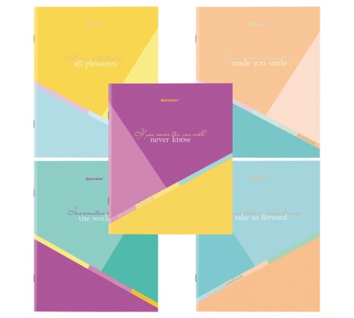 Тетрадь А5 48 л. BRAUBERG скоба, клетка, обложка картон, 