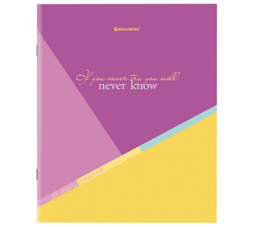 Тетрадь А5 48 л. BRAUBERG скоба, клетка, обложка картон, 