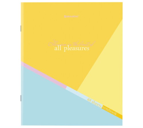 Тетрадь А5 48 л. BRAUBERG скоба, клетка, обложка картон, 