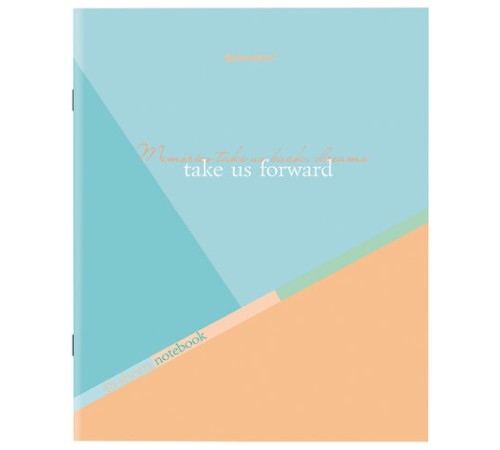 Тетрадь А5 48 л. BRAUBERG скоба, клетка, обложка картон, 