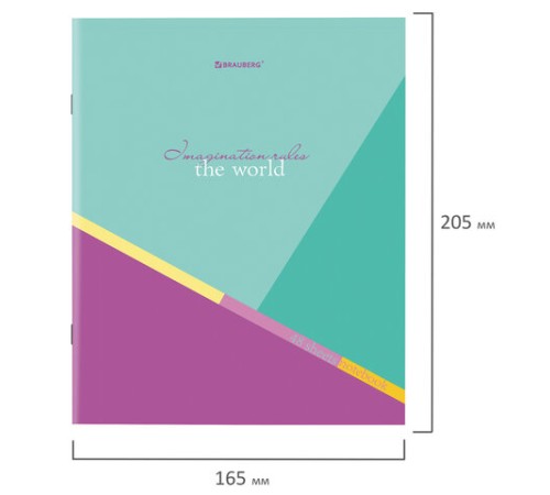 Тетрадь А5 48 л. BRAUBERG скоба, клетка, обложка картон, 