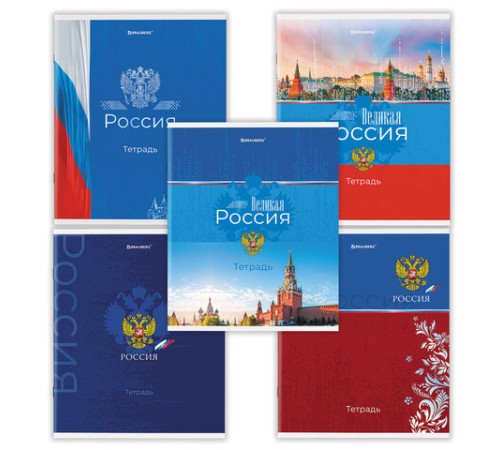 Тетрадь А5 48 л. BRAUBERG скоба, клетка, обложка картон, 