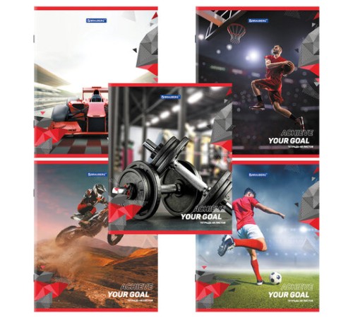 Тетрадь А5 48 л. BRAUBERG скоба, клетка, обложка картон, 