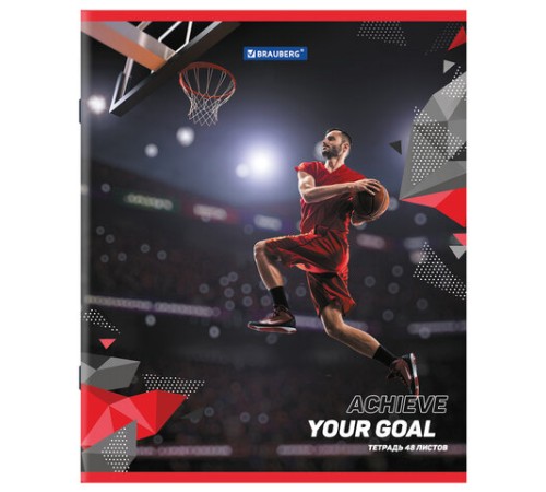 Тетрадь А5 48 л. BRAUBERG скоба, клетка, обложка картон, 