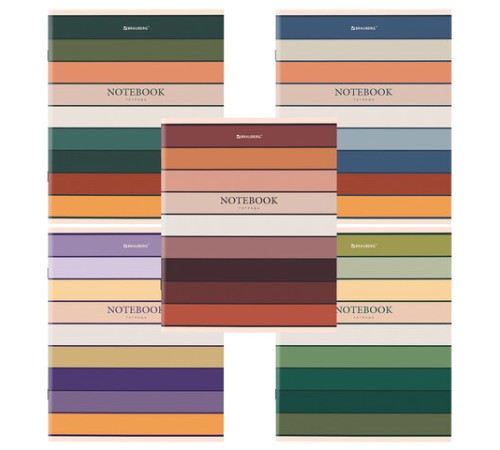 Тетрадь А5 48 л. BRAUBERG скоба, клетка, обложка картон, 