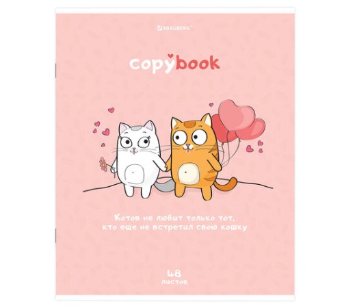 Тетрадь А5, 48 л., BRAUBERG, скоба, клетка, обложка картон, 