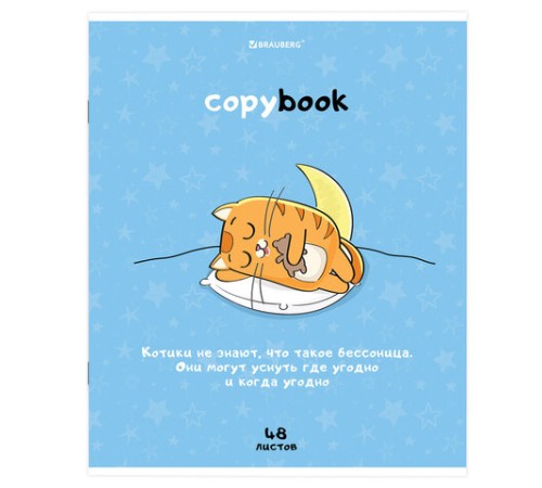 Тетрадь А5, 48 л., BRAUBERG, скоба, клетка, обложка картон, 