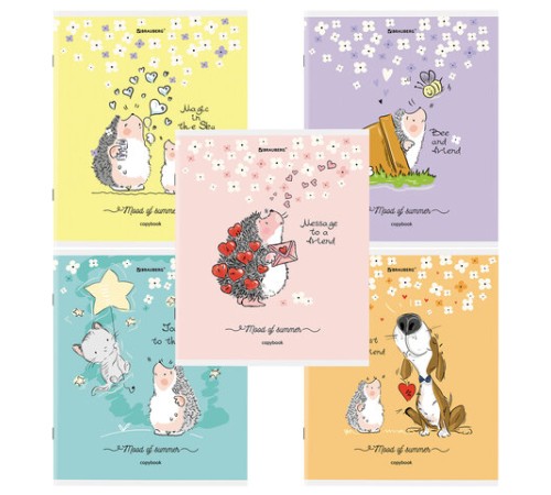 Тетрадь А5 48 л. BRAUBERG скоба, клетка, обложка картон, 