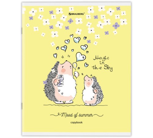 Тетрадь А5 48 л. BRAUBERG скоба, клетка, обложка картон, 