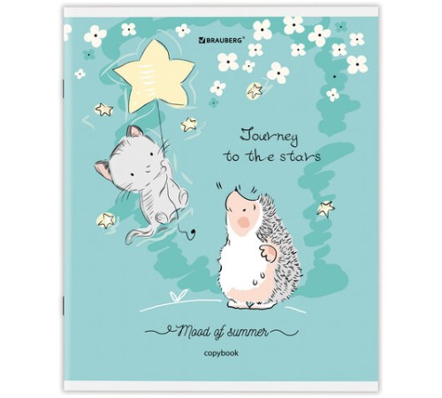 Тетрадь А5 48 л. BRAUBERG скоба, клетка, обложка картон, 