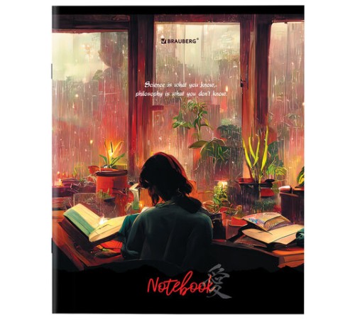 Тетрадь А5 48л. BRAUBERG скоба, клетка, обложка картон, 