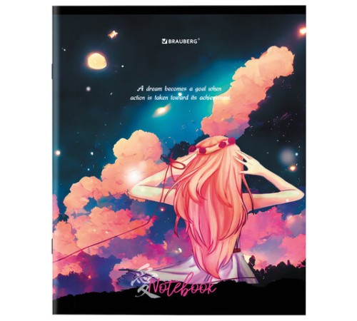 Тетрадь А5 48л. BRAUBERG скоба, клетка, обложка картон, 