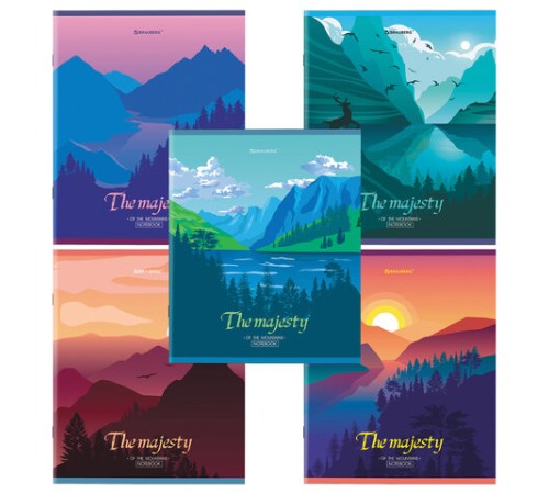 Тетрадь А5 48 л. BRAUBERG скоба, клетка, обложка картон, 