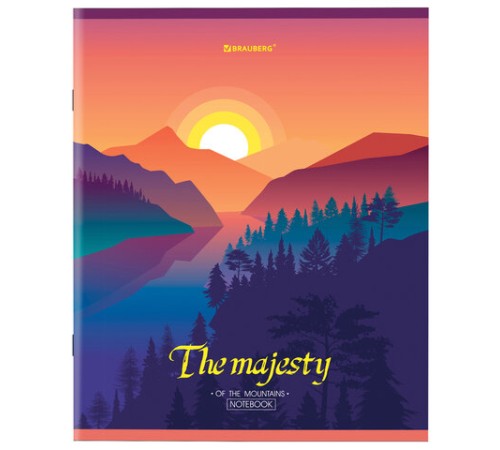 Тетрадь А5 48 л. BRAUBERG скоба, клетка, обложка картон, 