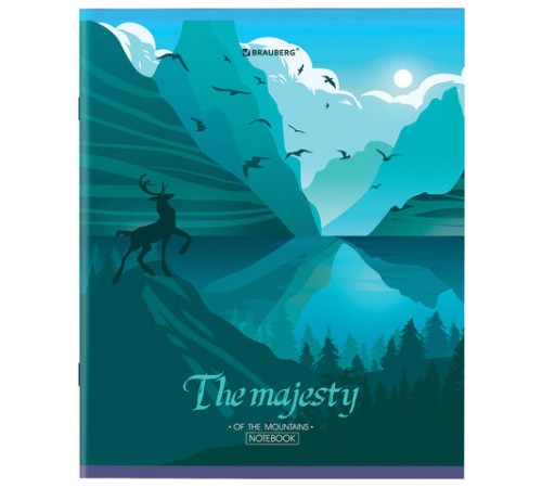 Тетрадь А5 48 л. BRAUBERG скоба, клетка, обложка картон, 