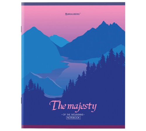 Тетрадь А5 48 л. BRAUBERG скоба, клетка, обложка картон, 