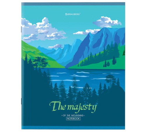 Тетрадь А5 48 л. BRAUBERG скоба, клетка, обложка картон, 