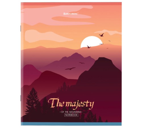 Тетрадь А5 48 л. BRAUBERG скоба, клетка, обложка картон, 