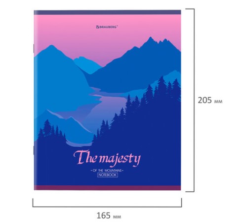 Тетрадь А5 48 л. BRAUBERG скоба, клетка, обложка картон, 
