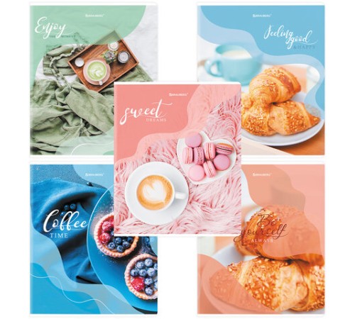 Тетрадь А5, 48 л., BRAUBERG, скоба, клетка, матовая ламинация, выборочный лак, 