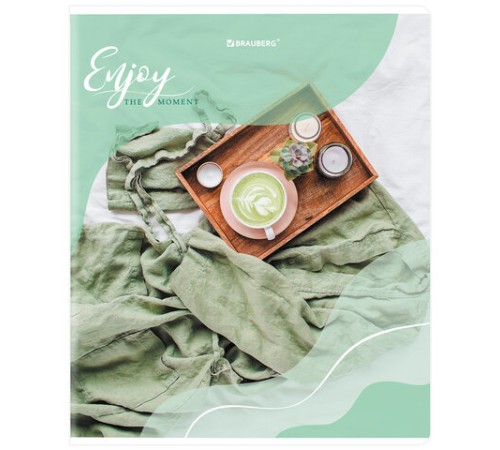 Тетрадь А5, 48 л., BRAUBERG, скоба, клетка, матовая ламинация, выборочный лак, 