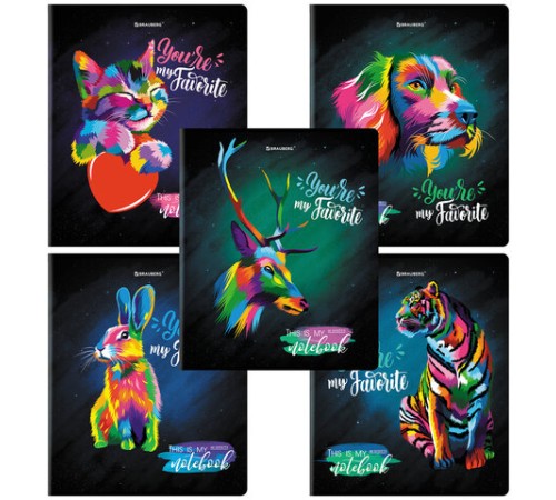 Тетрадь А5, 48 л., BRAUBERG, скоба, клетка, матовая ламинация, выборочный лак, 