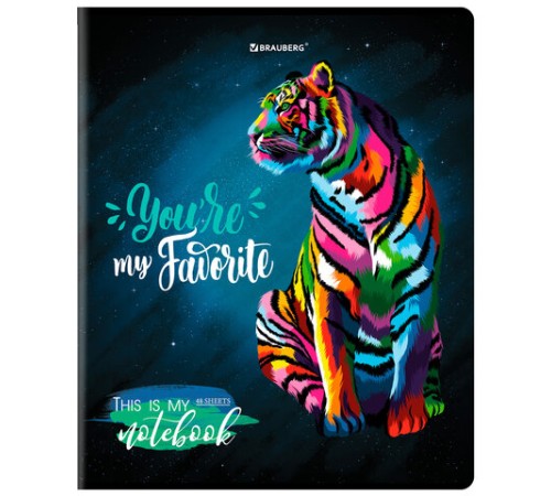 Тетрадь А5, 48 л., BRAUBERG, скоба, клетка, матовая ламинация, выборочный лак, 