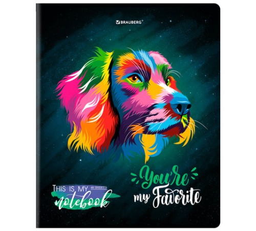 Тетрадь А5, 48 л., BRAUBERG, скоба, клетка, матовая ламинация, выборочный лак, 