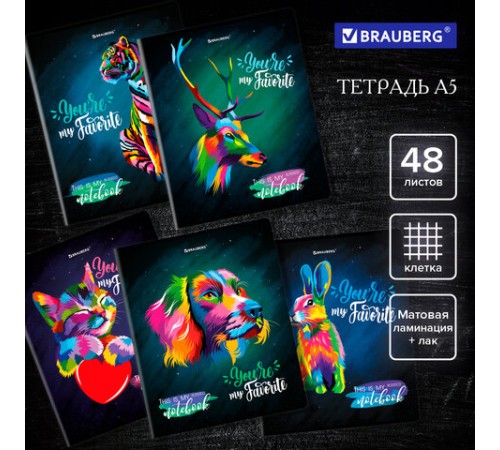 Тетрадь А5, 48 л., BRAUBERG, скоба, клетка, матовая ламинация, выборочный лак, 