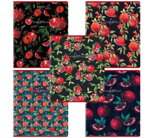 Тетрадь А5, 48 л., BRAUBERG, скоба, клетка, матовая ламинация, выборочный лак, 