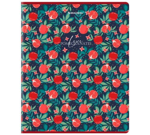 Тетрадь А5, 48 л., BRAUBERG, скоба, клетка, матовая ламинация, выборочный лак, 