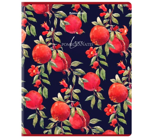 Тетрадь А5, 48 л., BRAUBERG, скоба, клетка, матовая ламинация, выборочный лак, 