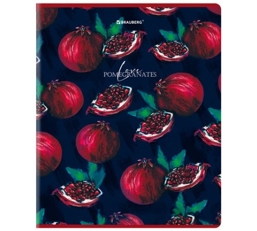 Тетрадь А5, 48 л., BRAUBERG, скоба, клетка, матовая ламинация, выборочный лак, 