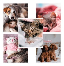 Тетрадь А5 48 л. BRAUBERG скоба, линия, обложка картон, 