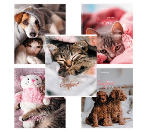 Тетрадь А5 48 л. BRAUBERG скоба, линия, обложка картон, 