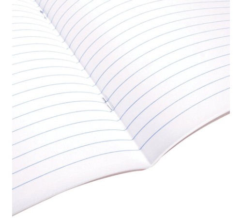 Тетрадь А5 48 л. BRAUBERG скоба, линия, обложка картон, 