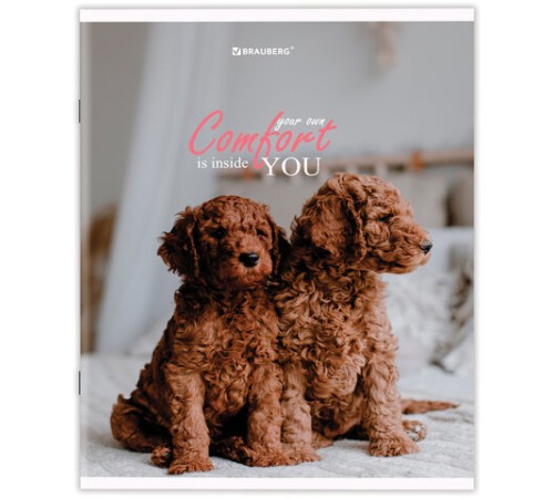 Тетрадь А5 48 л. BRAUBERG скоба, линия, обложка картон, 