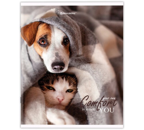 Тетрадь А5 48 л. BRAUBERG скоба, линия, обложка картон, 