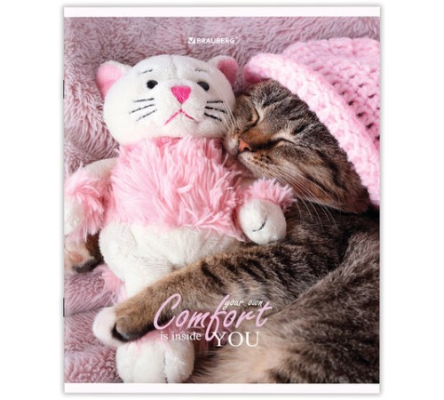 Тетрадь А5 48 л. BRAUBERG скоба, линия, обложка картон, 