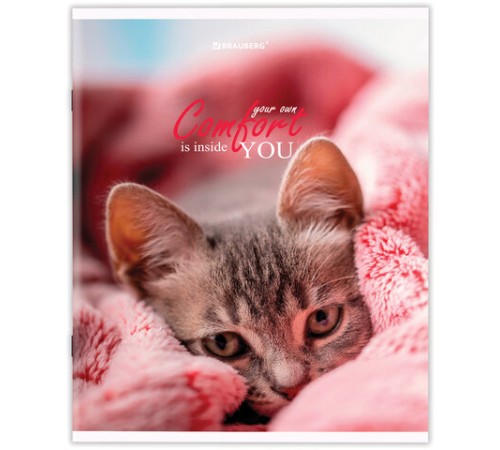 Тетрадь А5 48 л. BRAUBERG скоба, линия, обложка картон, 