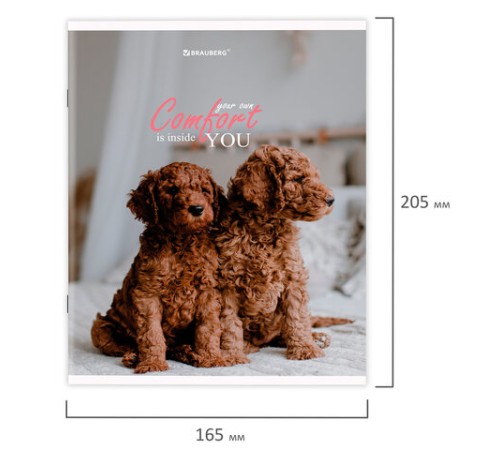 Тетрадь А5 48 л. BRAUBERG скоба, линия, обложка картон, 